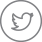 Twitter Icon